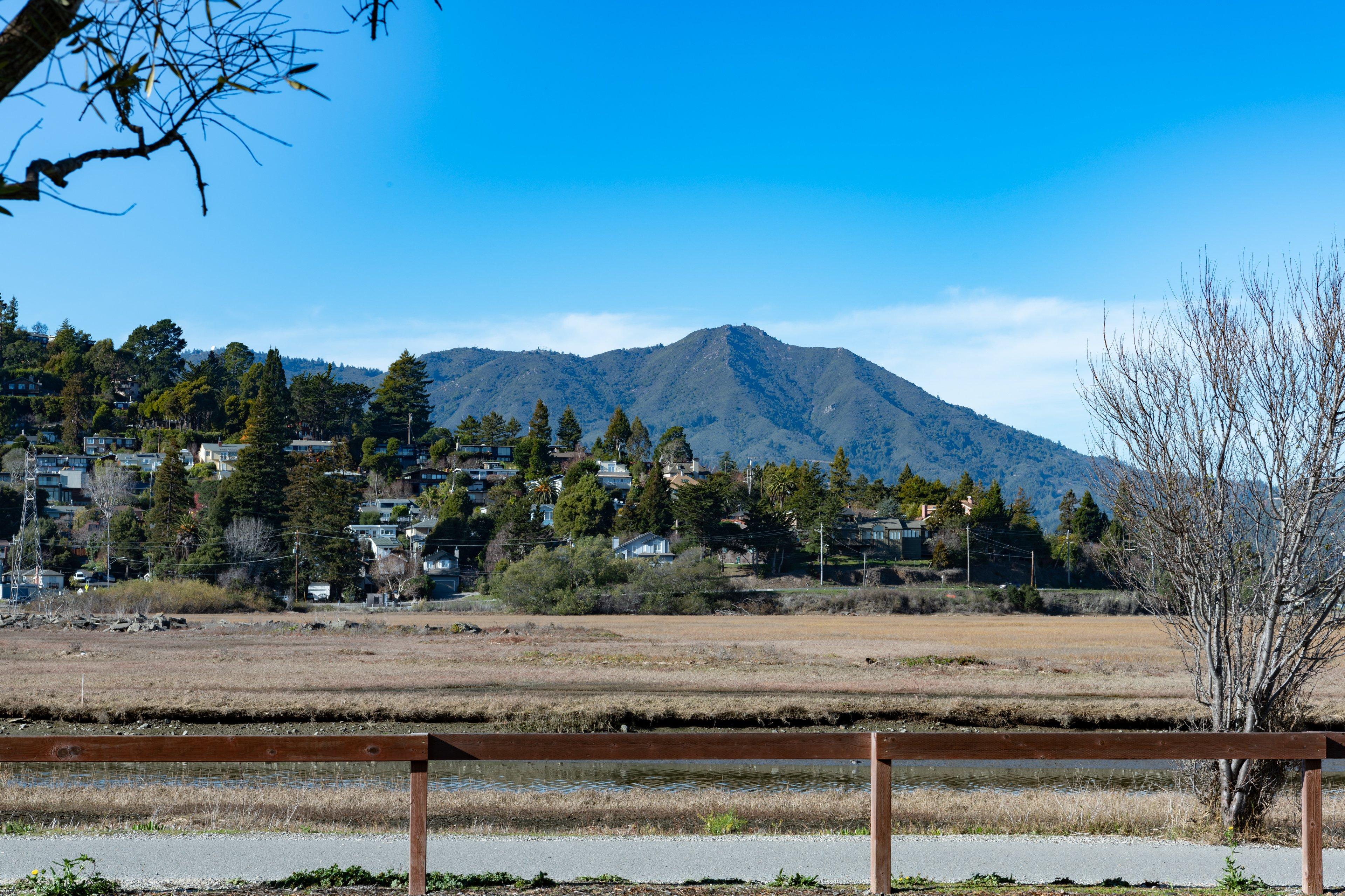 Holiday Inn Express Mill Valley San Francisco Area By Ihg Luaran gambar