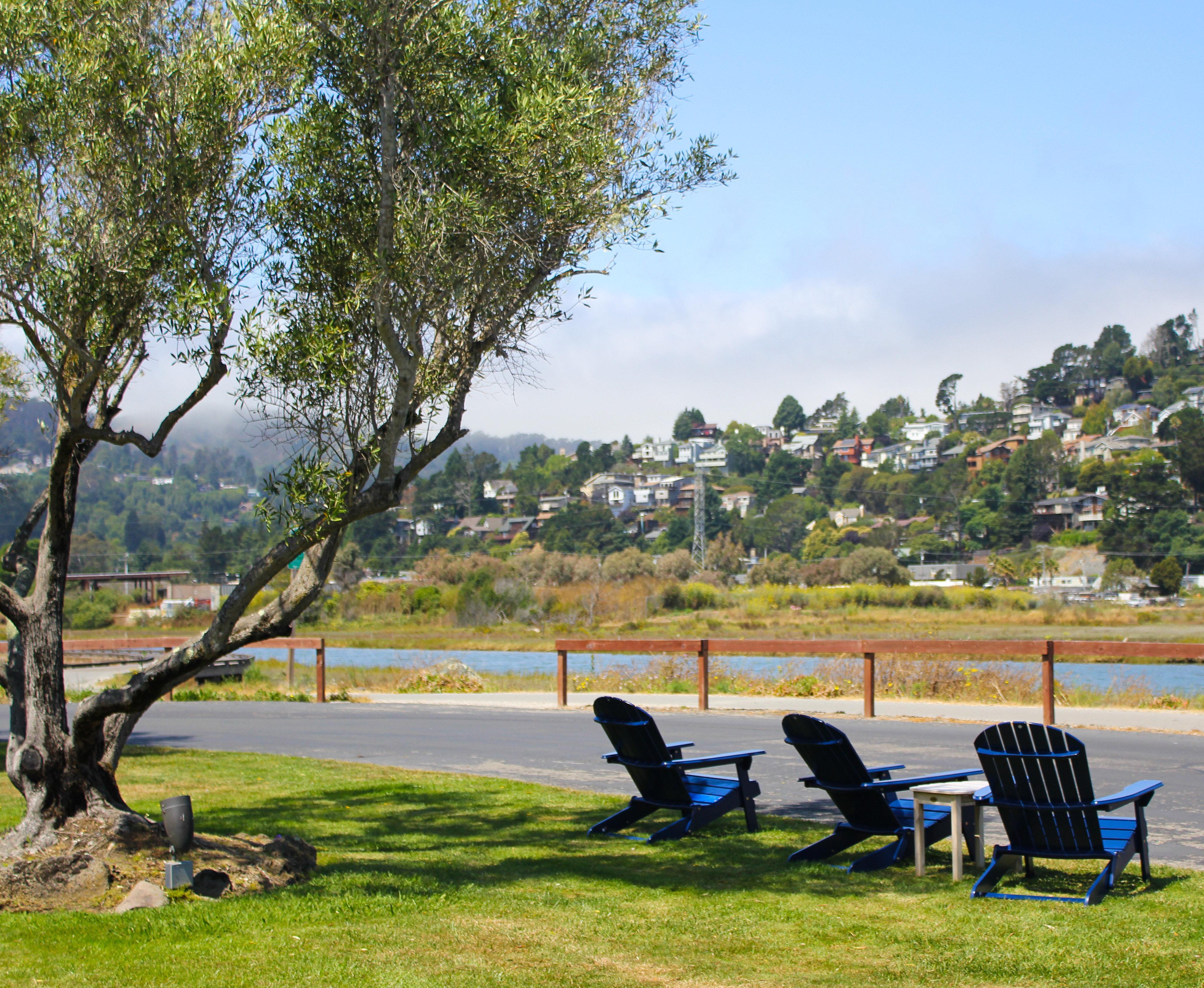 Holiday Inn Express Mill Valley San Francisco Area By Ihg Luaran gambar