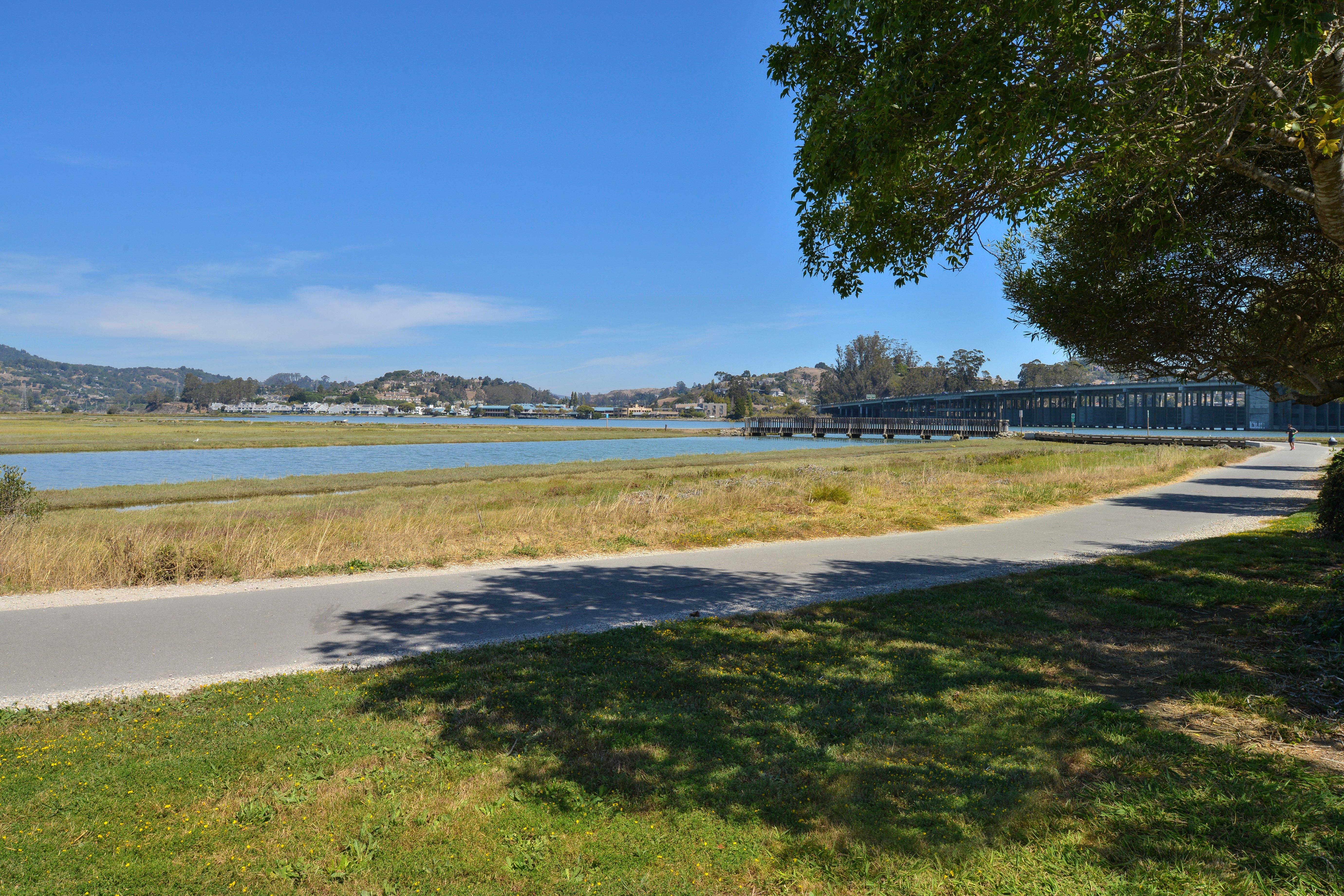 Holiday Inn Express Mill Valley San Francisco Area By Ihg Luaran gambar